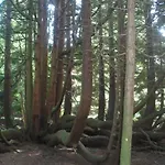 컨트리하우스 Grange Lastingham